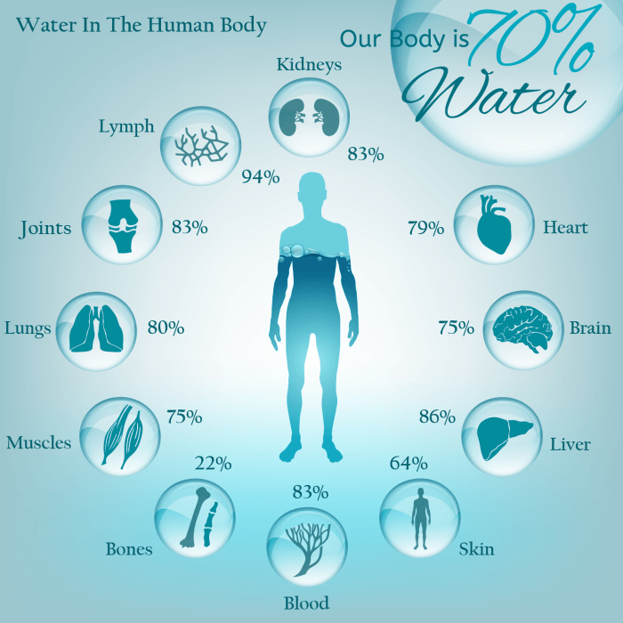 Water body importance important why so life benefits human our health drinking pure percent do liquid gold daily clean drink
