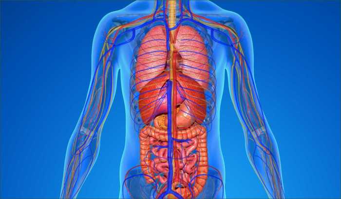 Healthy body keep keeping fit health maintain maintaining